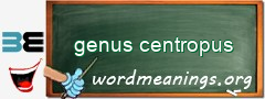 WordMeaning blackboard for genus centropus